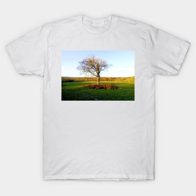 Last Tree Standing T-Shirt by QualitySolution